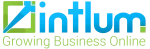Intlum Technology Pvt Ltd company logo