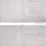 LICA LAB company logo