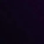 Learneo company logo