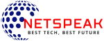 Netspeak Infotech Private Limited company logo