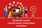 Nschool Academy - Sofware Training & Development... company logo