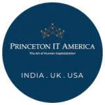 Princeton IT America company logo