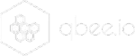 QBee Academy company logo