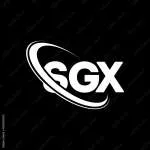 SGX Minerals Pvt Ltd company logo