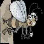 St. John’s National Academy of Health Sciences company logo