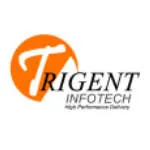 Trigent Software Pvt Ltd company logo