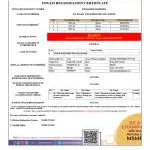 UDYAM CARES company logo