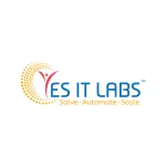 Yesventive IT Labs Pvt Ltd company logo