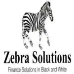 Zeblaze Solutions LLP company logo