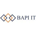 bapiitsolutions company logo