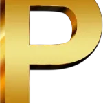 p raghava chetty p narayanaswamy chetty company logo