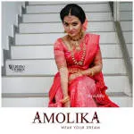 Amolika company logo