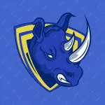 Blu rhinos gym company logo