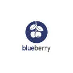 Blueberry's India company logo