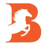 Brandmaker333 Media Solutions company logo