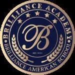 Brilliance School Najafgarh company logo