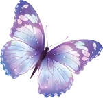 Butterfly EduFields Pvt Ltd company logo
