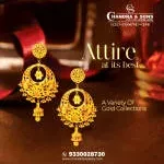 Chandra & Sons company logo