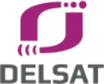 DELSAT INFOTECH PRIVATE LIMITED company logo