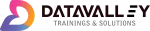Data Valley Web Services company logo