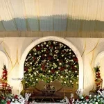 Fashion Fruitz Events and Wedding planners company logo