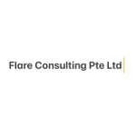 Flare Consulting Pte Ltd company logo