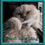 Good Shepherd Public School & Junior College,... company logo