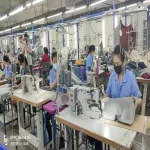 Kripya Solutions company logo