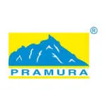Pramura Software Private Limited company logo