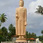 Sri Chaitanya schools company logo