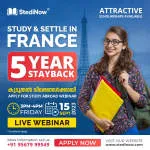 Stedinow Pvt. Ltd company logo