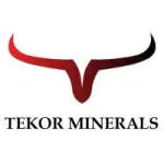 Tekor Minerals Private Limited company logo