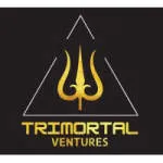 Trimortal Ventures LLP company logo
