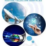 Vestel Telecom Services company logo