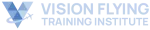 Vision Flying Training Institute company logo