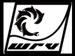 WRV JEWELLERS LIMITED company logo