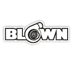 BLOWN company logo