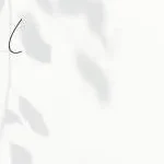 Biswajit Sarkar Advocates - IP Attorneys company logo