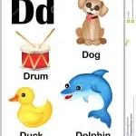 D.B. Group spa company logo