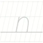 N P DUTT & SON company logo