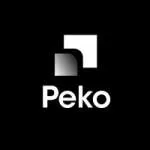 PEKO PAYMENTS PRIVATE LIMITED company logo