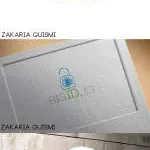 SCILDAN SECURITY SERVICES company logo