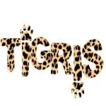 Tigris Valley company logo