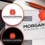 Wheelson Logistics and Solutions Private Limited company logo