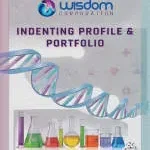 Wisdom Properties company logo