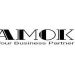 Amnok LLP company logo