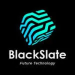 Blackslate Digital Pvt Ltd company logo