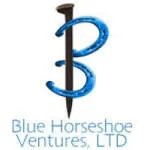 BluHorse Fitventures Private Limited company logo