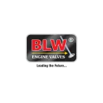 Blw engine Valves pvt ltd company logo