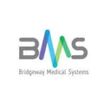 Bridgeway Medical Systems company logo